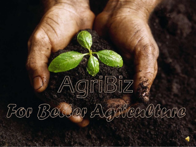 agribizff